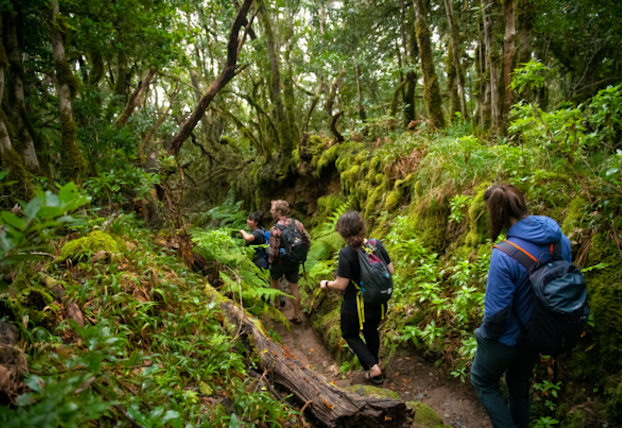 Students in Cayman Island Forest