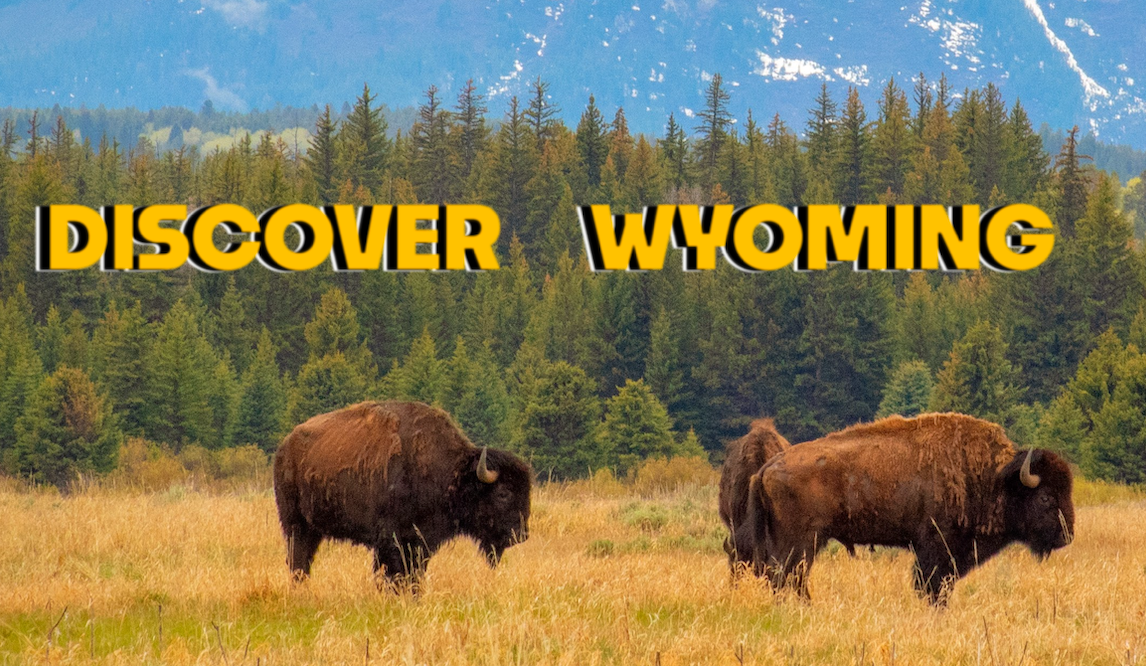 buffalo in front of the Teton mountains, with the Discover Wyoming logo