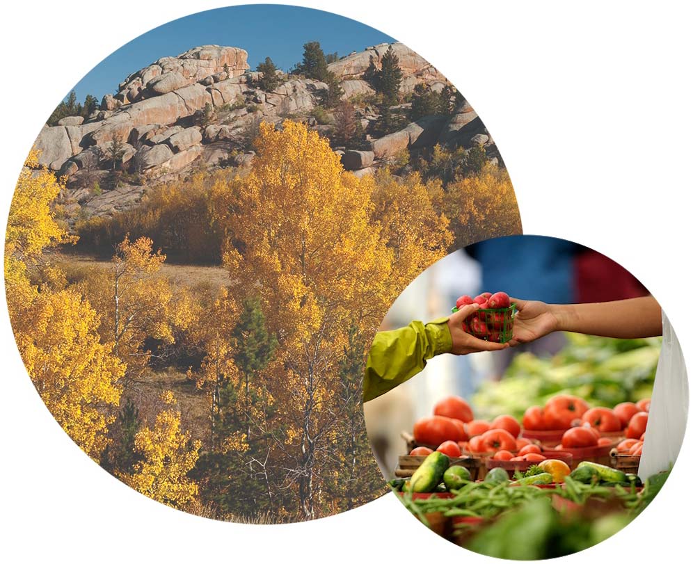 Vedauwoo rocks and farmers market