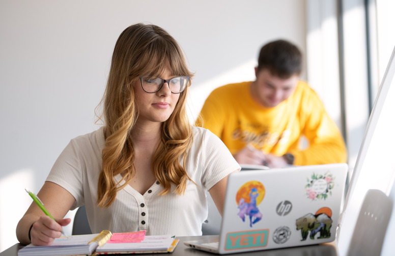 Student studying on laptop