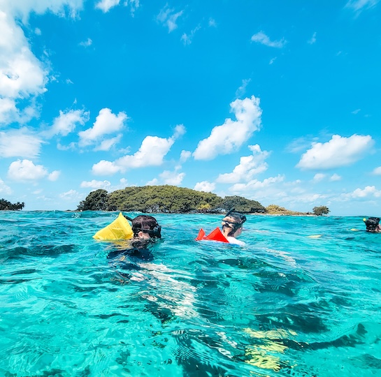 students snorkeling