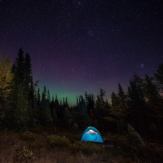 lighted tent under stars in a forest
