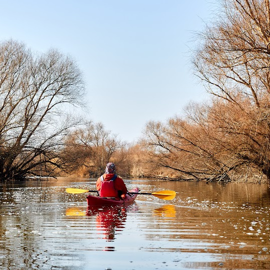 person paddling a canoe in a river