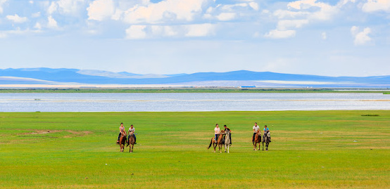 horse riders on green fields