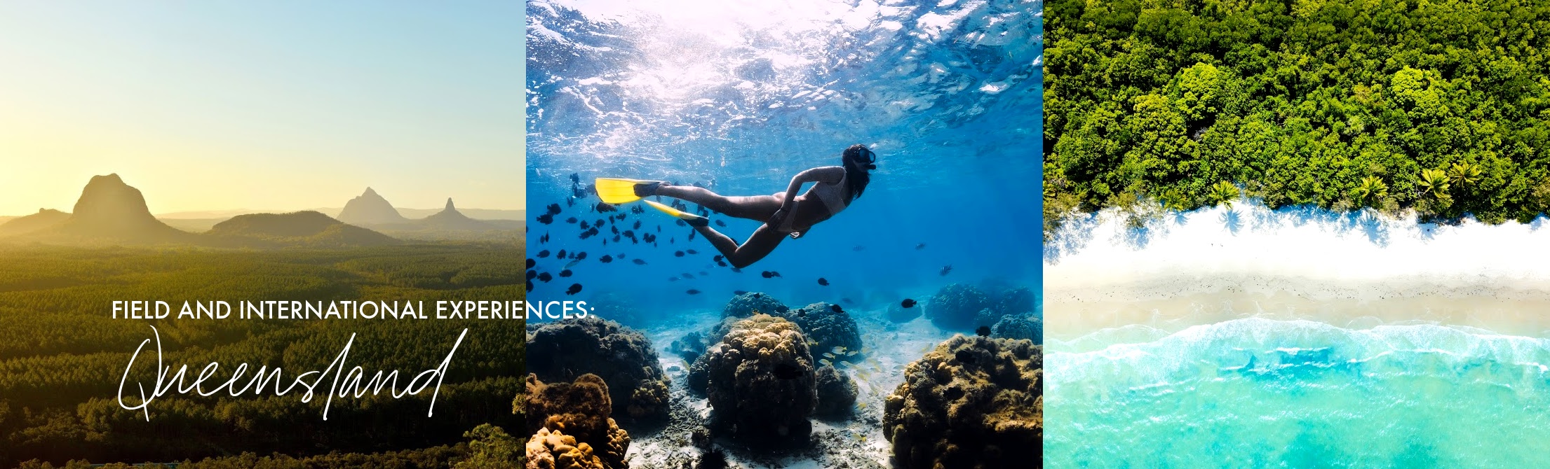 Field & International Experiences: Queensland over images of mountains, a snorkeler and coral, and a white sand beach from above