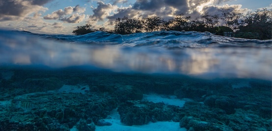 view of island and coral from the ocean