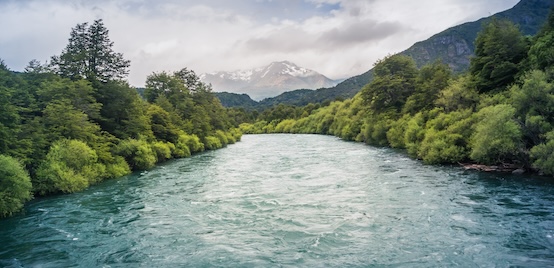 river with vegetation