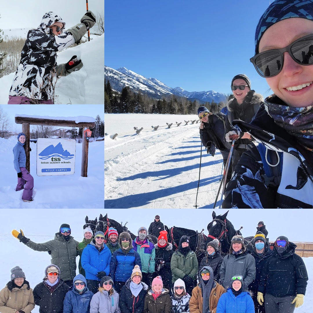 a collage of winter photographs in Grand Teton National Patk