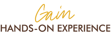 Gain Hands-on Experience