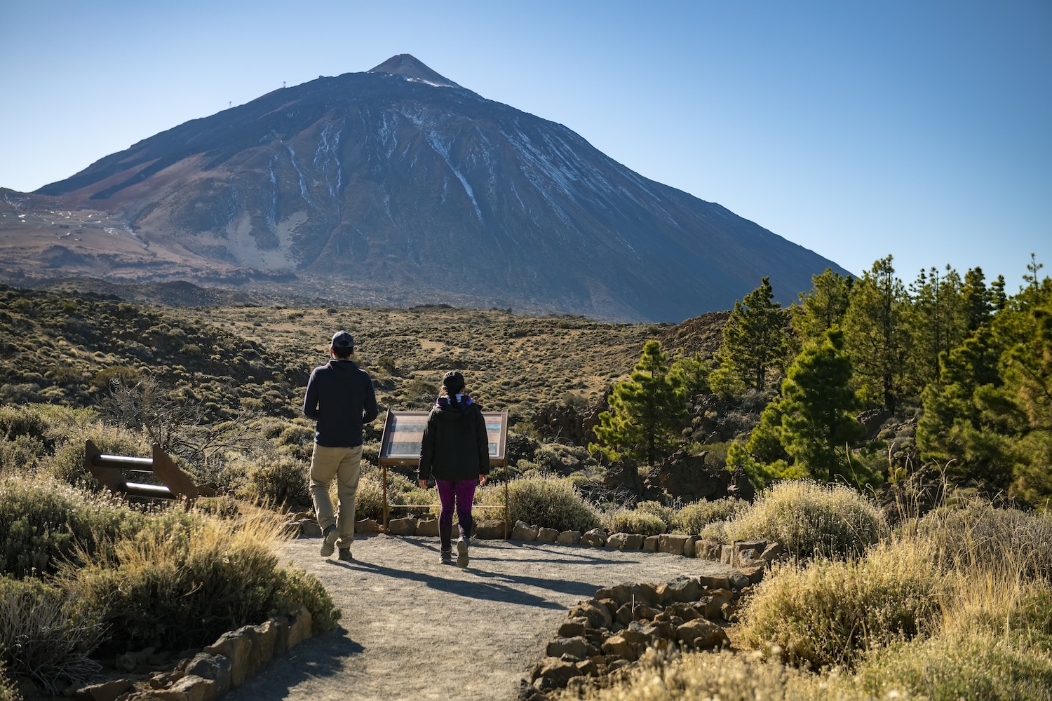 hikers and a mountain