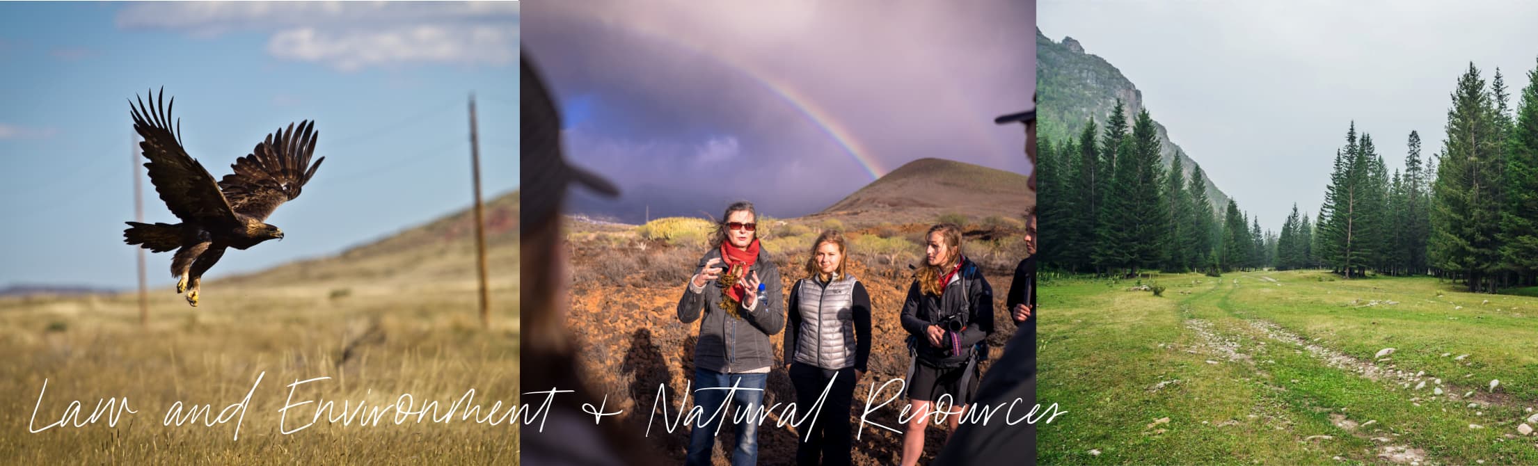 Environment & Natural Resources over students in international settings