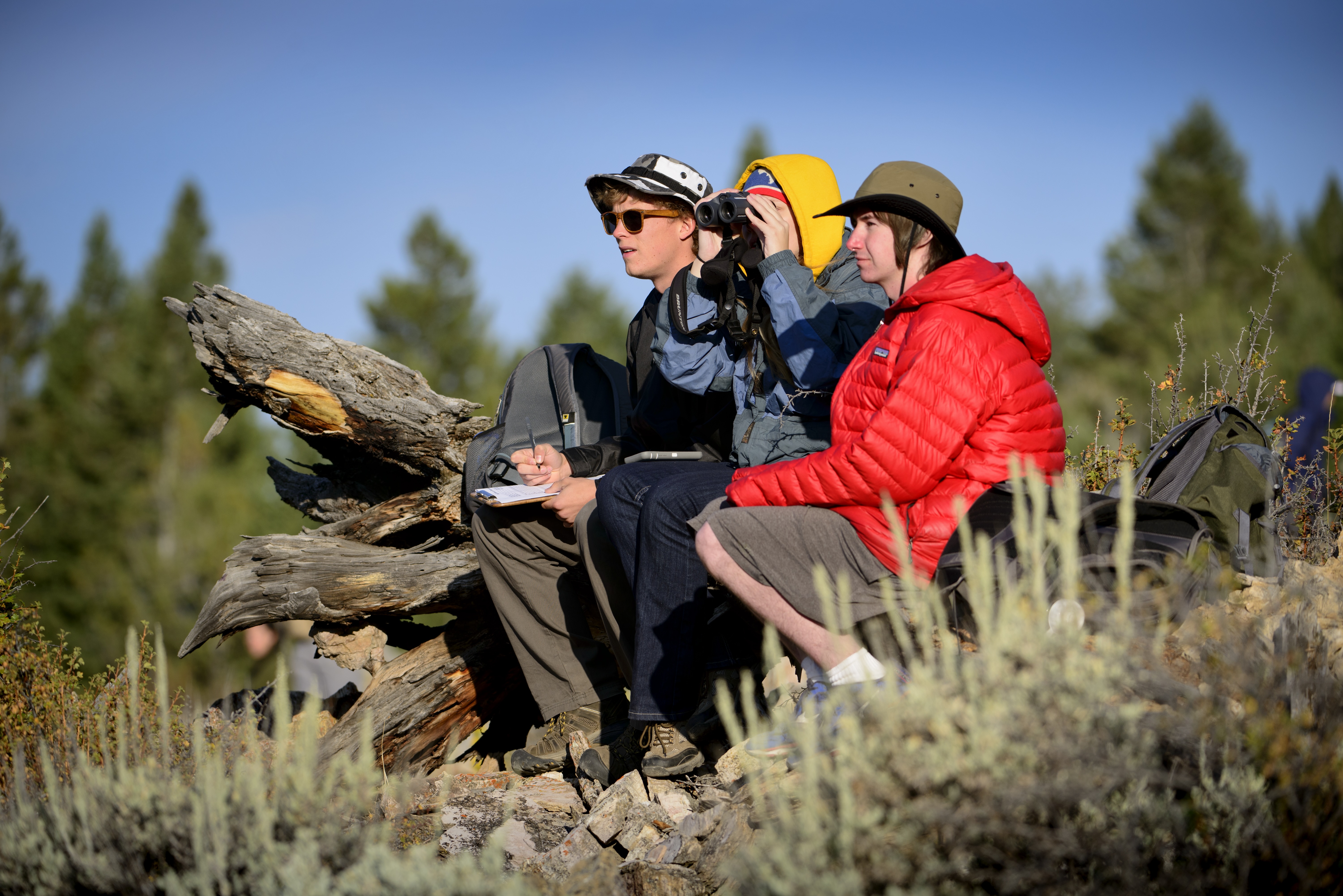Three students on a field course make observations using binoculars