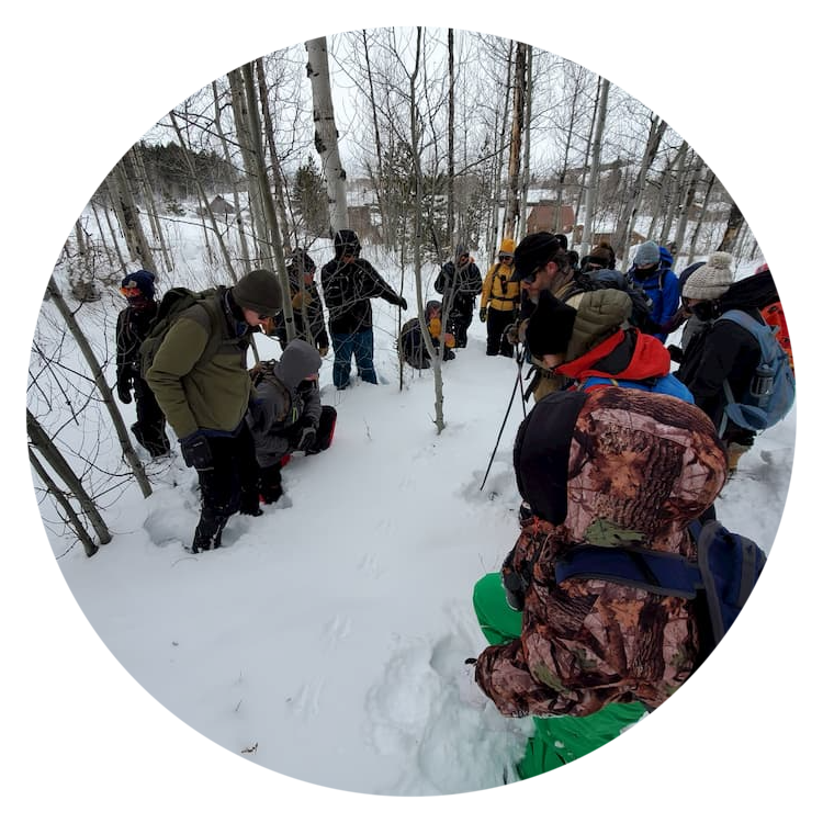 winter ecology course