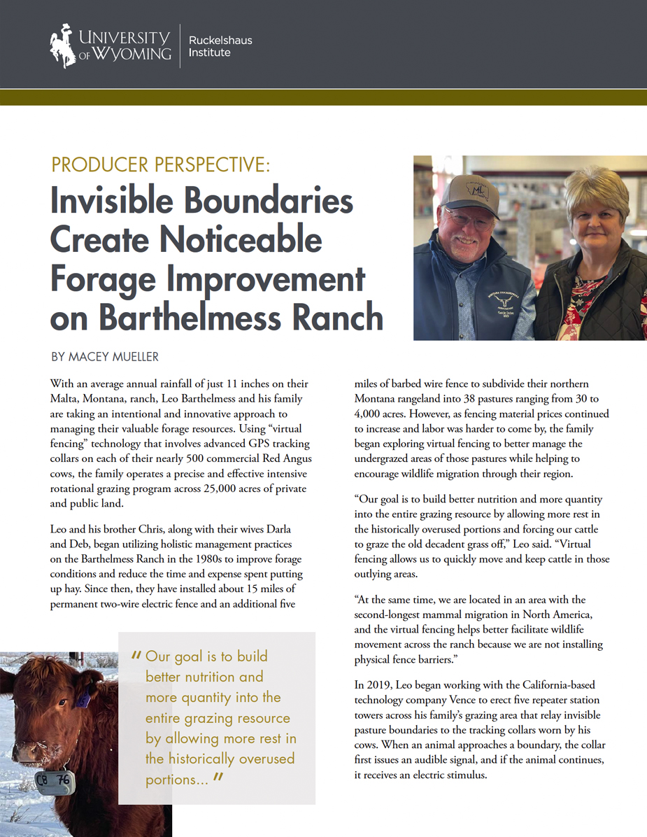 Thumbnail of report