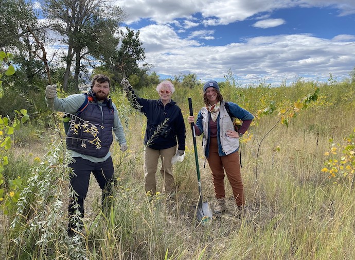 Three people pose while removing invasive russian olives