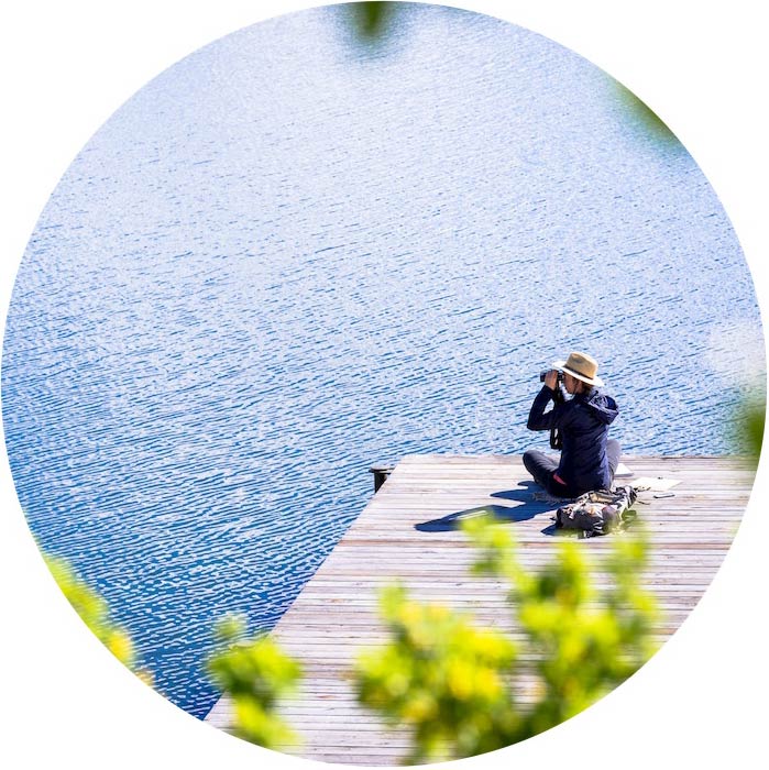 Student looking through binoculars over water 