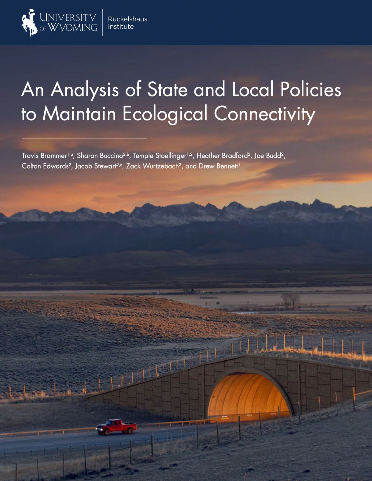 Cover of report with image of power line in front of mountains.