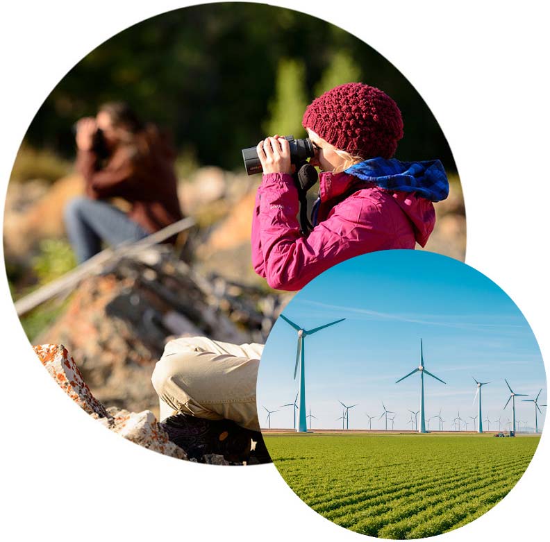 Student looking through binoculars and windmills