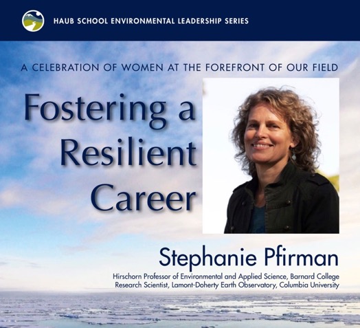 Stephanie Pfirman: Fostering a Resilient Career poster thumbnail