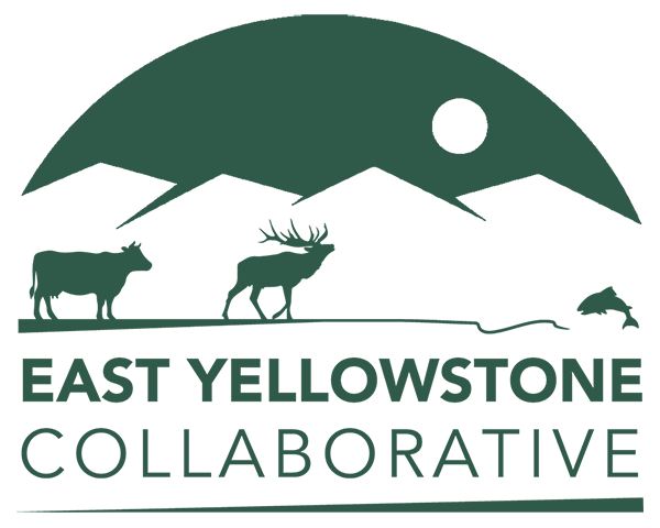 East Yellowston Collaborative logo
