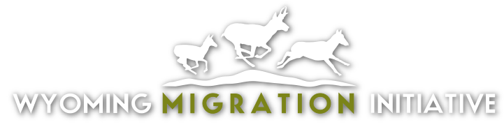 Wyoming Migration Initiative logo