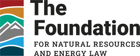 The Foundation logo