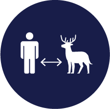Wildlife human icon