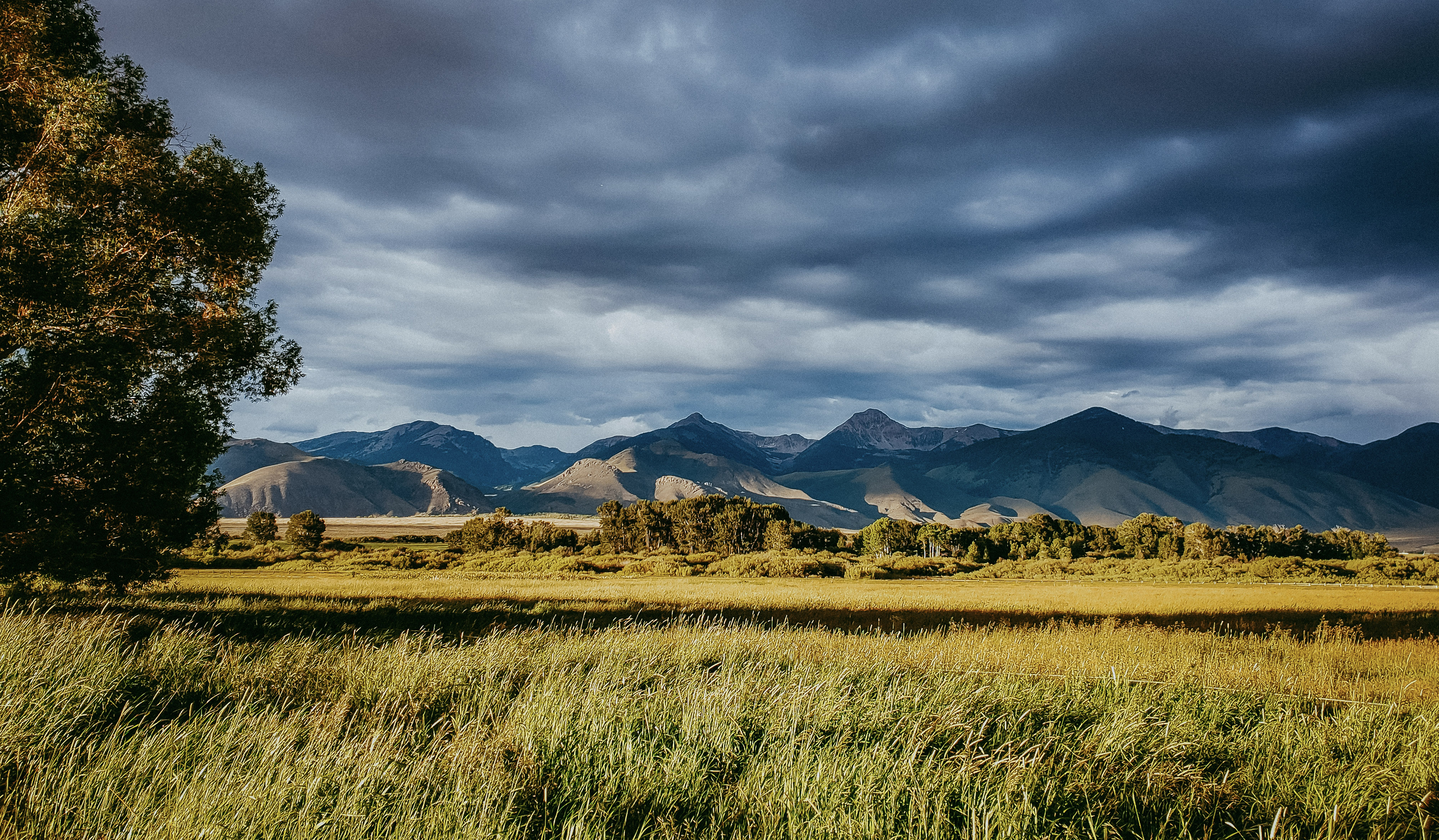 mountains, grass and sky