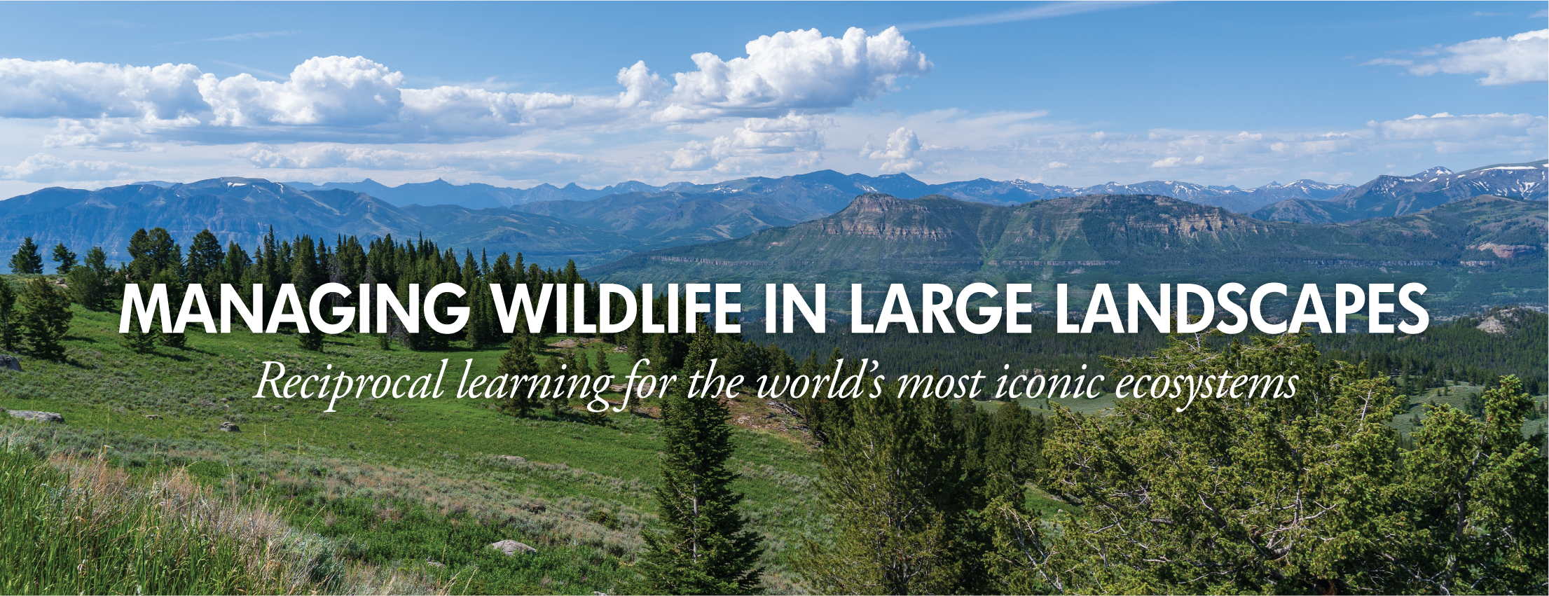 Managing Wildlife in Large Landscapes: Reciprocal learning for the world’s most iconic ecosystems over mountains