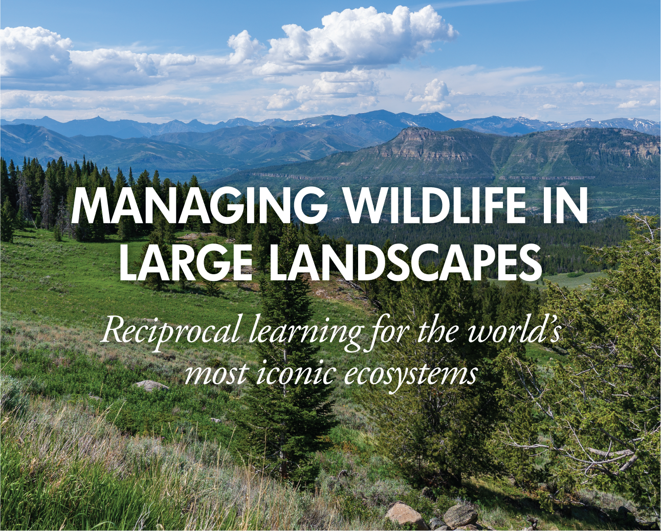 Managing Wildlife in Large Landscapes