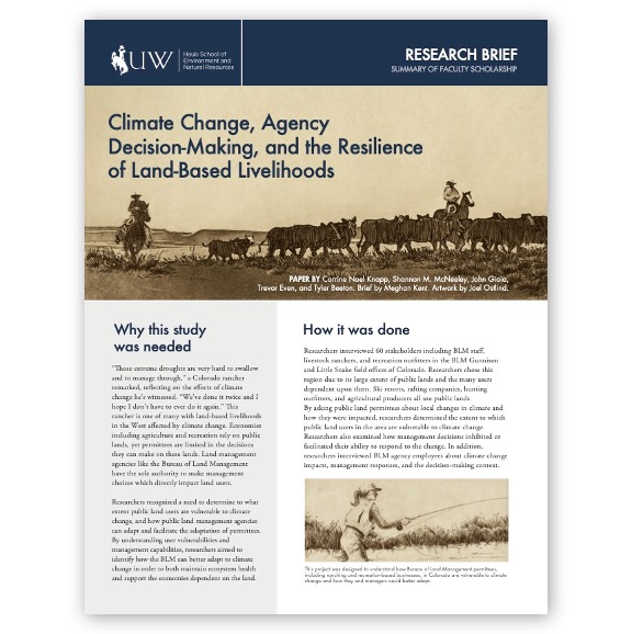 Publication cover, research brief "Climate Change, Agency Decision-Making, and the Resilience of Land-Based Livelihoods" with image of riders herding cattle and woman fishing