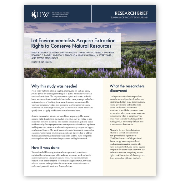 Publication cover, research brief, "Let Environmentalists Acquire Extraction Rights to Conserve Natural Resources," showing field of wildflowers.