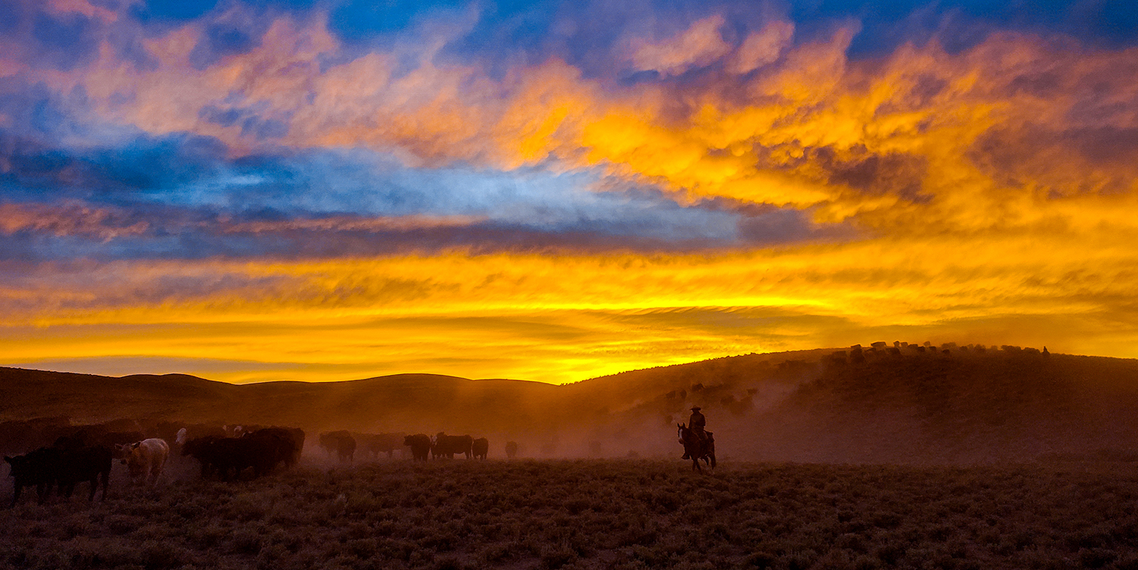 A bright orange foggy sunset