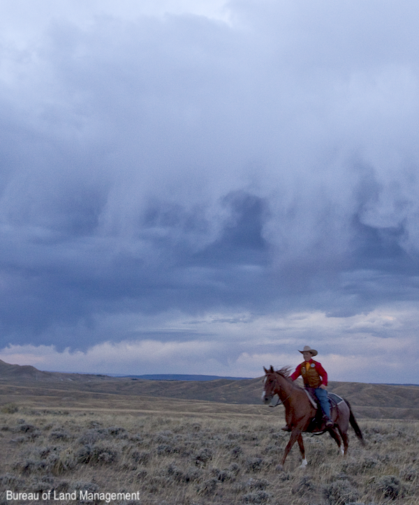 Bureau of Land Management photo of man riding a horse beneath storm clouds.