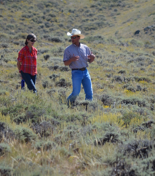 Jessica walking through sagebrush on Platte Valley Habitat Partnership field trip.