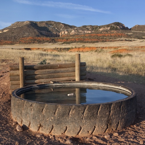 Photo of stock tank made out of a tire