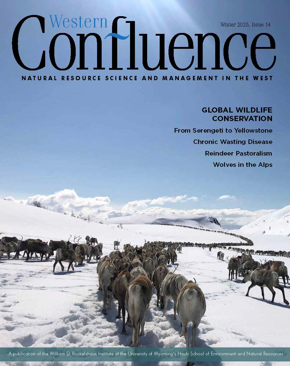 The cover of Western Confluence, featuring lines of reindeer migrating across a snowy landscape