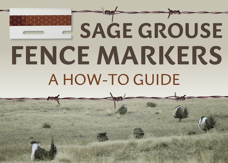 Sage Grouse Fence Markers Poster