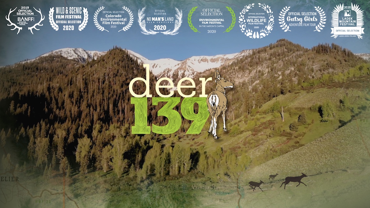 Deer 139 logo with image of deer and mountains.