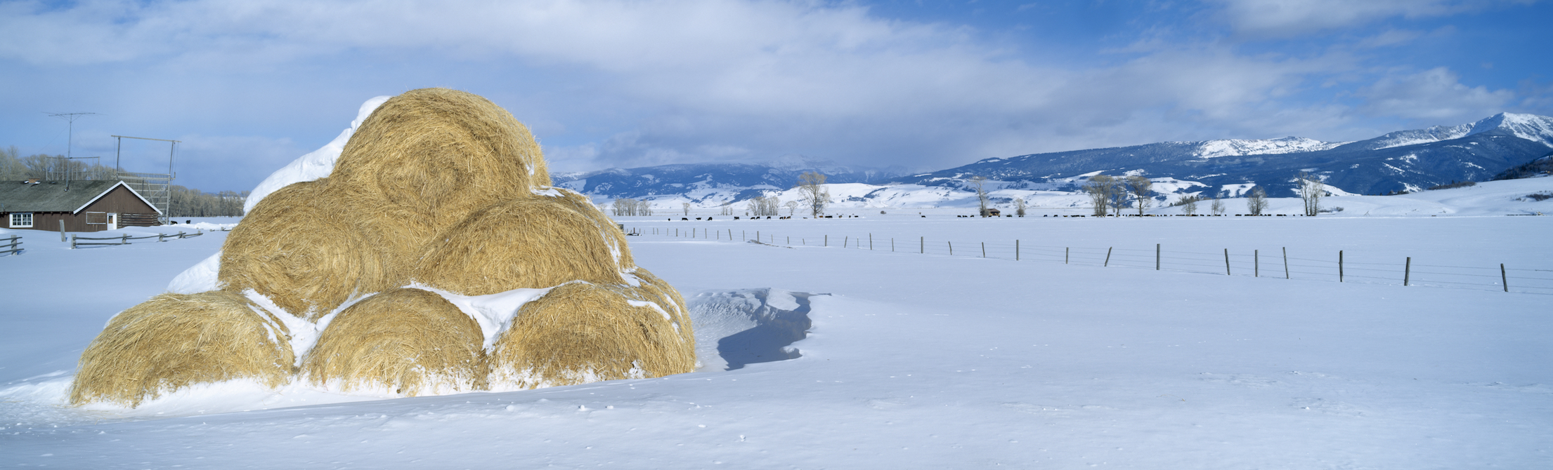 Winter on a Wyoming ranch