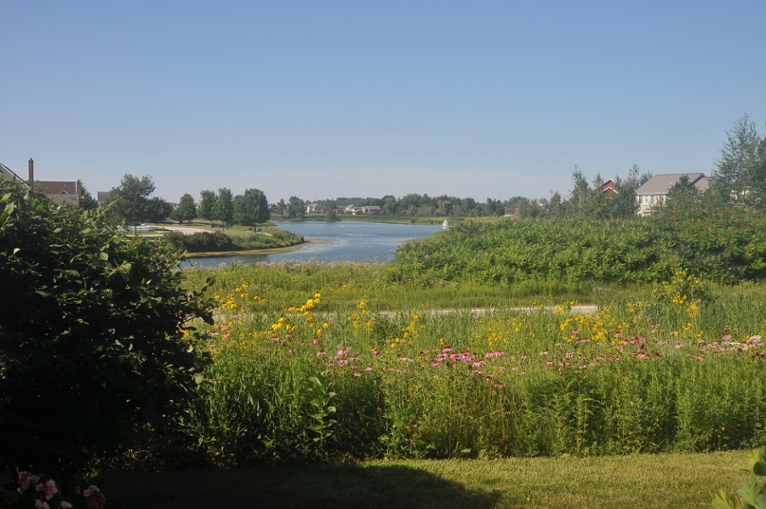 Conservation development in Grayslake, IL