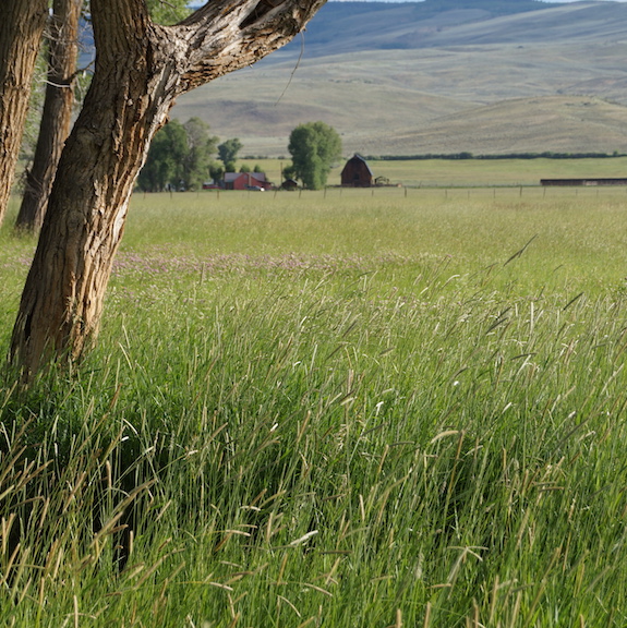 Conservation easement near Crested Butte, Colorado