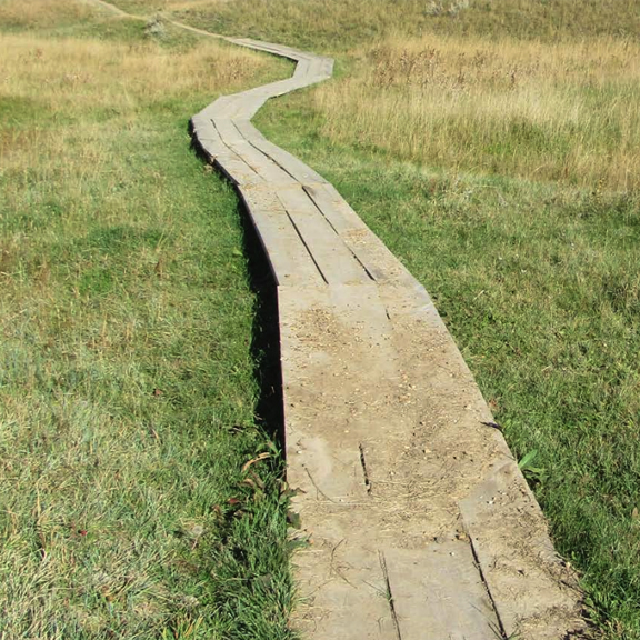 Wooden trail