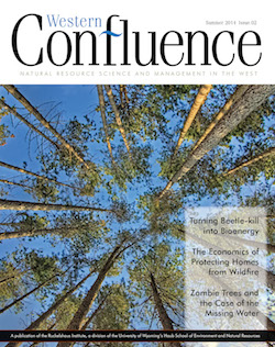 Western Confluence magazine, issue 02, forests