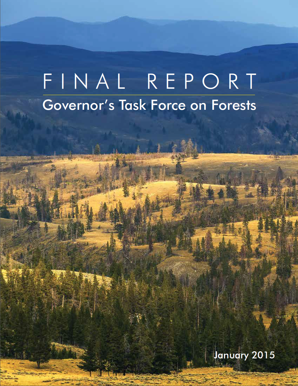 Final Report of the Governor's Task Force on Forests published.