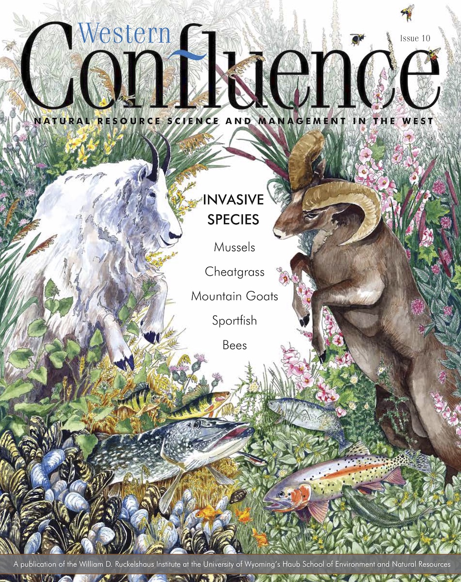 Cover of Western Confluence magazine issue 10, invasive species, showing illustration of various native and invasive species facing off against one another.