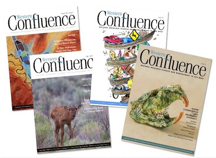 Picture of four Western Confluence publications