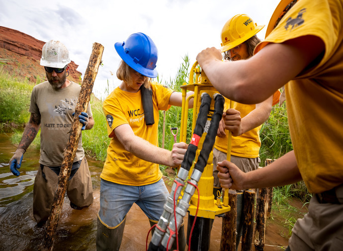 WCC crew members build an artificial beaver dam