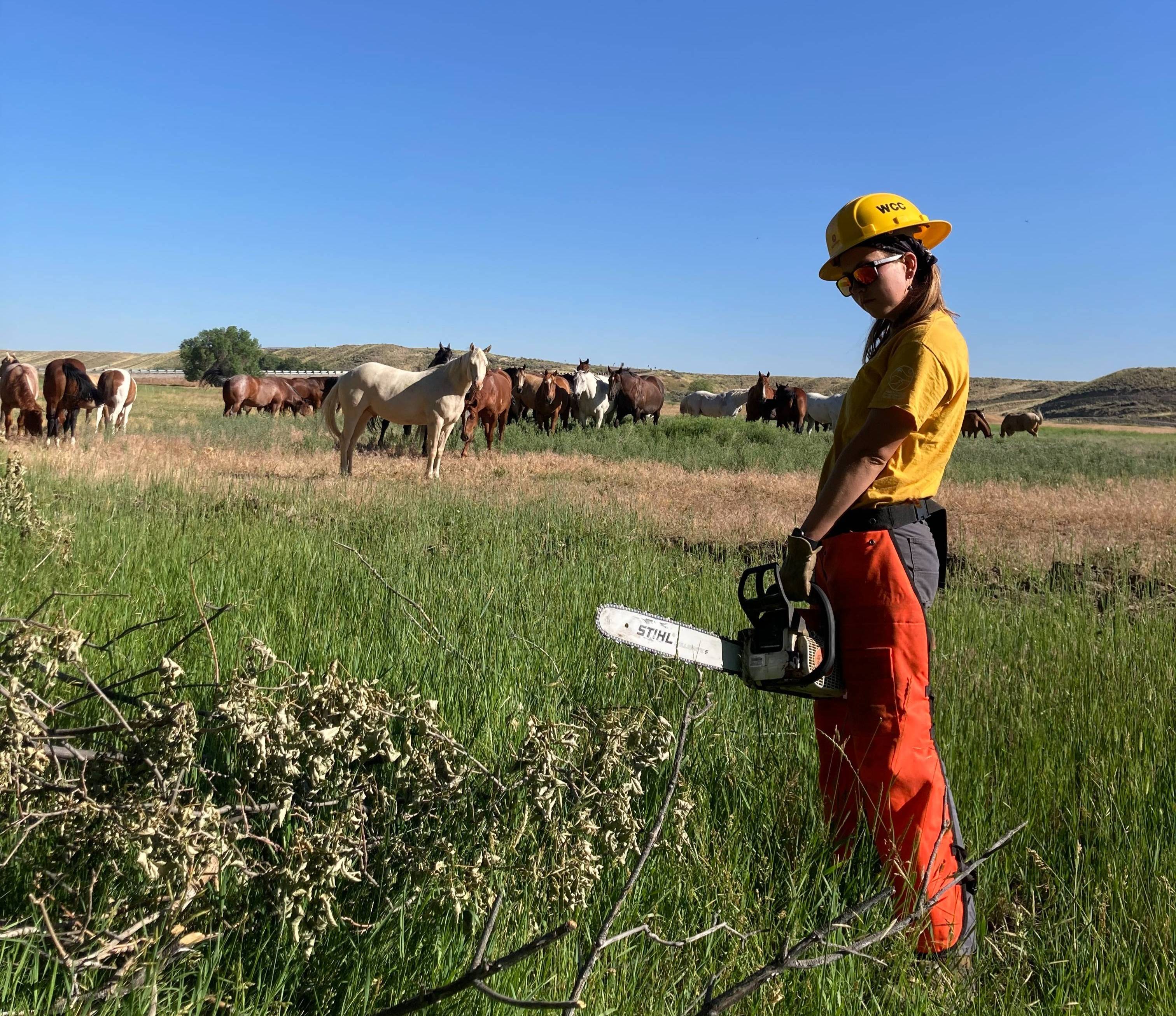 crew member using a chainsaw