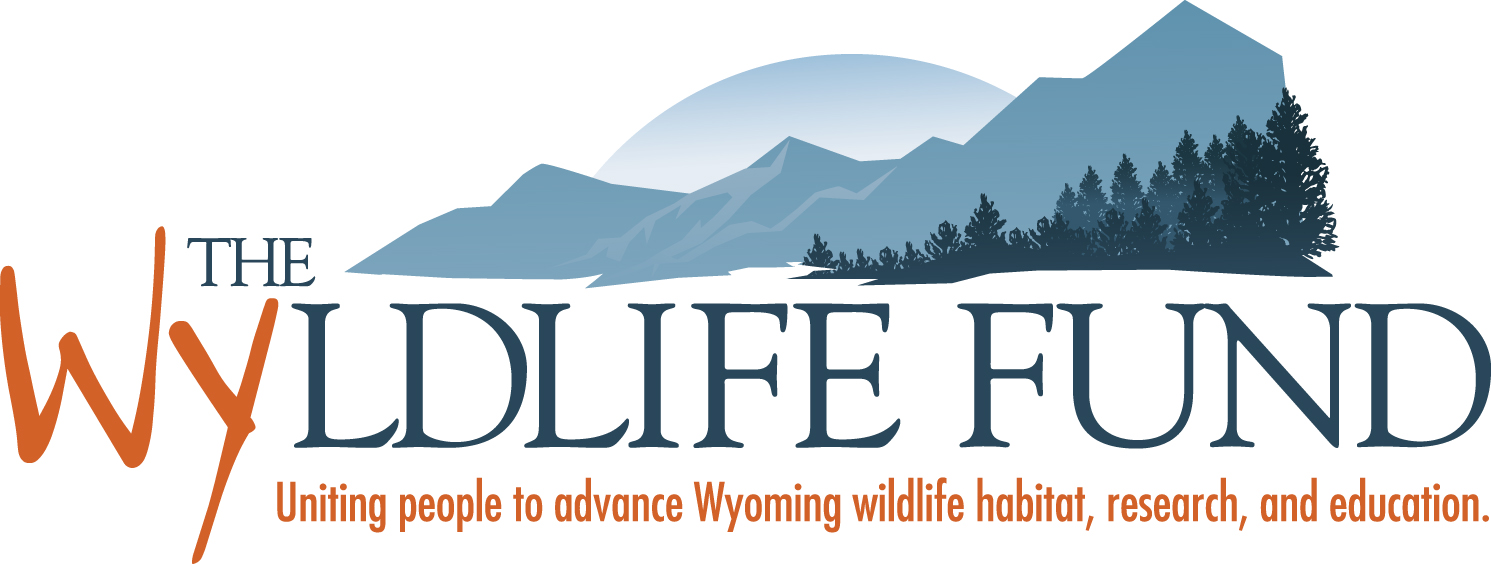 The Wyldlife Fund logo
